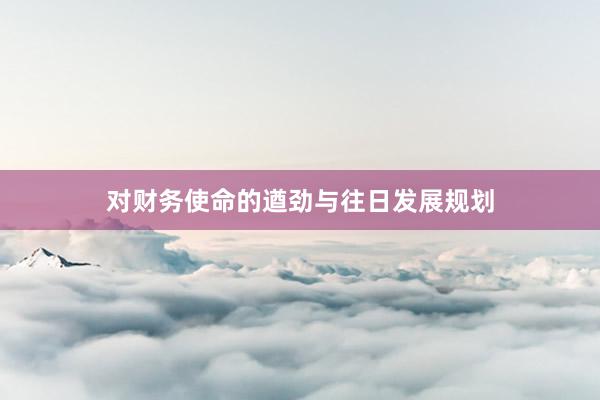 对财务使命的遒劲与往日发展规划