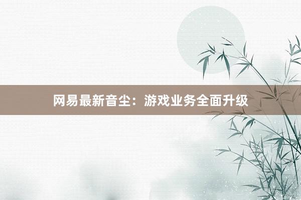 网易最新音尘：游戏业务全面升级
