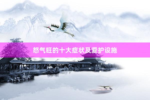 怒气旺的十大症状及爱护设施